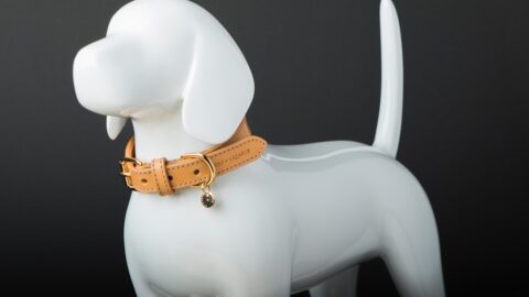 A sleek modern smart pet collar with glowing blue LED lights resting on a soft grey cat fur texture
